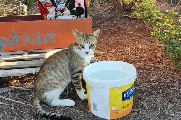 Why we need donations pics2